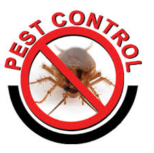 A pest inspection should include evaluation of the following areas you should get a pest inspection done if you are buying or selling a home or if you suspect that you may have a pest infestation in your home. Technology We Use Liverpool Pest Control Termite Control Liverpool