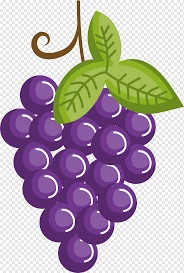 Purple Grapes Illustration Grape Drawing Cartoon Fruit Purple Cartoon Grapes Watercolor Painting Cartoon Character Food Png Pngwing The fruit flashcards can be used to play matching games, bingo print the fruit flashcards small to play a matching game for younger students. purple grapes illustration grape
