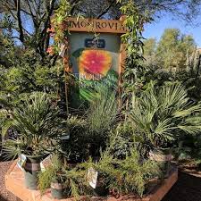 Located 20 minutes north of pittsburgh pa, htg supply is the premier indoor garden. Nursery Garden Center Rillito Nursery And Garden Center