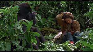 Gorillas in the Mist: The Adventure of Dian Fossey Blu-ray
