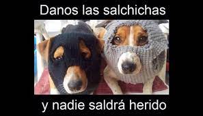 Memes Chistes Humor Funny Invequa Perro Perros Memes En Espanol Memes De Perros Memes Meme Gato Memes Perros Chistes De Perros