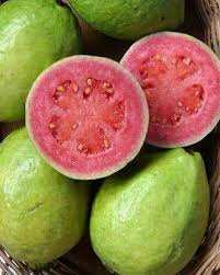 Goyaves Rouge Fruits Tropicaux Fruits Exotiques Fruits Et Legumes