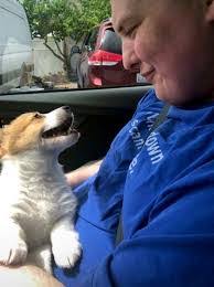 Joshua Lashbrook's Instagram, Twitter & Facebook