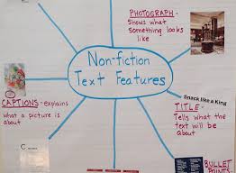 6 Creative Example Of Lesson Plan Elementary Text Feature