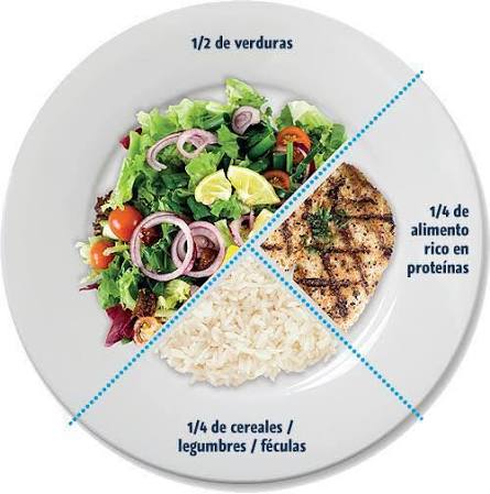 Así debes servir tu plato!. Una forma fácil y efectiva para mantener una  dieta saludable sin necesidad de privarse de comer lo que mas te gusta es  guiarse del “método del plato”