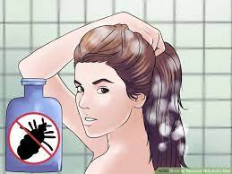 The acidic effect of lemon helps to kill lice and unglue nits easily. Pin On Lice