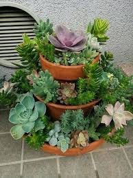 Vasos Com Suculentas No Jardim Succulents Diy Succulents Succulent Gardening