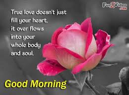 It is surely a good morning knowing that you are in my life. Good Morning Love Quotes For Her Quotesgram