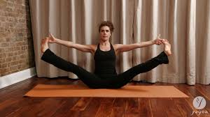 Yoga Asana Lab Seated Hip Openers Deep Squat Cone Butterfly Deep Squat Best Yoga Videos Yoga Asanas