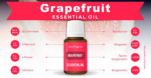 Discover new tips for using peppermint essential oil. 11 Best Essential Oils For Nausea That Actually Work