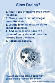 I Do Something Similar To This Natural Home Care For Slow Drains Household Cleaning Tips Household Hacks Cleaning Hacks
