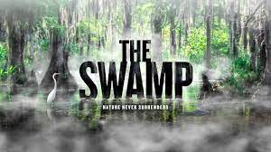 Check spelling or type a new query. Watch The Swamp American Experience Official Site Pbs