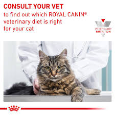 But with the help of your veterinarian and royal canin, there's not just hope—there can be a true difference. Royal Canin Urinary S O Adult Dry Cat Food 1 5kg At Fetch Co Uk The Online Pet Store