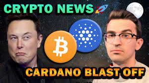 Crypto exchange binance too saw its native token binance coin. Mrhjuvs155bvdm