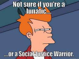 Not sure if you're a lunatic or just a social justice warrior - quickmeme