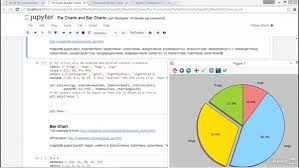 pie charts and bar charts