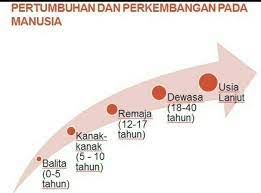 Manusia Mengalami Pertumbuhan Fisik Dan Mental Yg Cepat Pada Usia Brainly Co Id