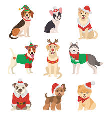 Christmas Dogs Collection Vector Illustration Funny Christmas Dog Christmas Illustration Christmas Costumes