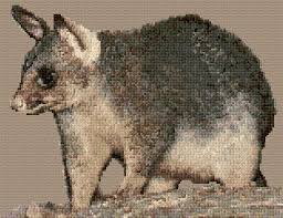 Add to favorites patty the opossum pattern knotlings 5 out of 5 stars (16) $ 7. Opossum Free Pattern From Cross Stitch Pattern Net Free Cross Stitch Designs Free Cross Stitch Cross Stitch