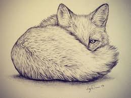 What Is Your Inner Animal Cute Fox Drawing Animal Drawings Cute Drawings