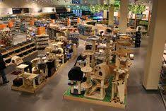 Obedience training, housebreaking, dog diet & nutrition 71 Pet Shop Ideas