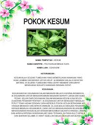 Daun kesum kaya dengan vitamin a, c dan juga bahan galian seperti kalium, kalsium serta fosforus. Pokok Herba
