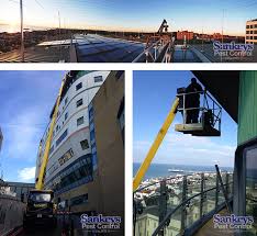 1876 wcr 37 #739 brighton, co 80603. Seagull Proofing The Royal Alexandra Childrens Hospital In Brighton Sankeys Pest Control