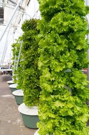 This video will display all the necessary steps to build your own. 5 Clever Diy Tower Garden Ideas To Make The Most Of Your Space