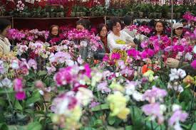 Happy lunar new year 2021. Hong Kong Florists Accuse Authorities Of Turning A Blind Eye To Their Plight Following Cancellation Of Lunar New Year Fair South China Morning Post
