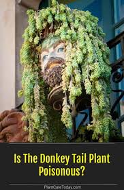 Pin On Sustainable Living Ideas