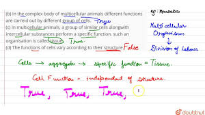Maybe you would like to learn more about one of these? Mark The Statement As True Or False A In Unicellular Organisms All The Functions Are Performed By Single Cell B In The Complex Body Of Multicellular Animals Different Functions Are Carreid Out