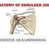 Shoulder anatomy is an elegant piece of machinery having the greatest range of motion of any joint in the body. 1
