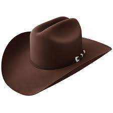 Stetson Lariat Brown 5x Cowboyhatt Lekker Og Stilren Cowboyhatt I 5x Fur Felt Kvalitet Bredde Pa Brim En Er Ca 10 Cm Og Hoyden P Cowboyhatt Matcha Hatt