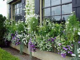 White Purple Flower Window Box Ideas Window Boxes Window Box Window Box Garden