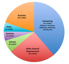Does information technology require math? Cis Cis