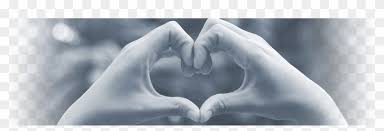 Download these amazing cliparts absolutely free and use these for creating your presentation, blog or website. Prayer Request Test Listing Heart Clipart 13072 Pikpng