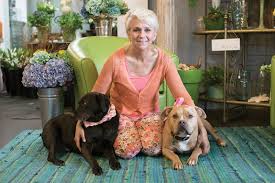 Same day flower delivery to tulsa, broken arrow, jenks and bixby ok. These Dogs Make Work More Fun At Marry Murray S Blogs Tulsapeople Com