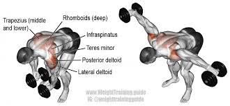 Reverse Dumbbell Fly Exercise Guide And Video Weight Training Guide Shoulder Workout Workout Guide Best Shoulder Workout
