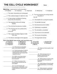Pin On Biology