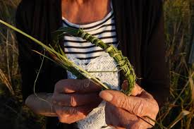 Bildergebnis für Yvonne Koolmatrie