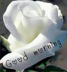 Pin On Good Morning