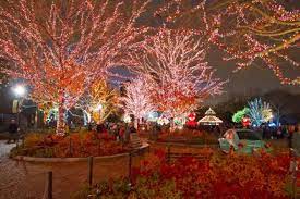 Lincoln Park Zoo To Transform Into Winter Wonderland During The 19th Annual Zoolights Presented By Comed And Charter One Holiday Lights Display Chicago Christmas Chicago Walking Tour