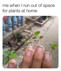 Zz Botanical And Home On Instagram Nailed It Tag Someone Who Needs To See This Opening Hours Wed Fri 10 2 Sat 10 Plant Jokes Plants Gardening Memes
