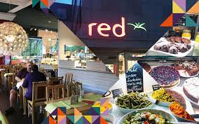 red die grune kuche delta im quadrat stadtmagazin mannheim heidelberg ludwigshafen