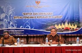 Pengawas koperasi adalah perangkat organisasi yang dipilih dari anggota dan diberi mandat untuk melakukan pengawasan terhadap jalannya roda organisasi dan usaha koperasi. Satgas Pengawas Koperasi Harus Bertindak Tegas