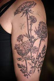 Queen Anne S Lace Wildflower Tattoo Lace Tattoo Lace Flower Tattoos