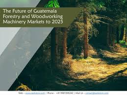 Look for cnc woodworking machinery? Ppt Guatemala Forestry And Woodworking Machinery Markets To 2025 Market Research Reports Powerpoint Presentation Id 7934239