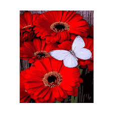 Check spelling or type a new query. Drawjoy Framed Flower Diy Painting By Numbers Wall Art Diy Canvas Oil Painting Home Decor For Living Room 40 50cm Flash Deal C612d4 Goteborgsaventyrscenter