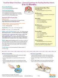 Infant Feeding Guidelines 8 12 Months Babyfood Infant