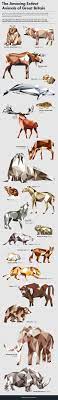 The other 3 remaining subspecies of black rhinos are also critically endangered. These 21 Extinct Animals Once Ruled The Uk Extinct Animals Animal Infographic Geometric Animals